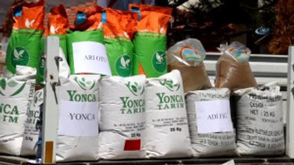 Gümüşhane Çiftçisine 68 Tonluk Tarihi Tohum Desteği