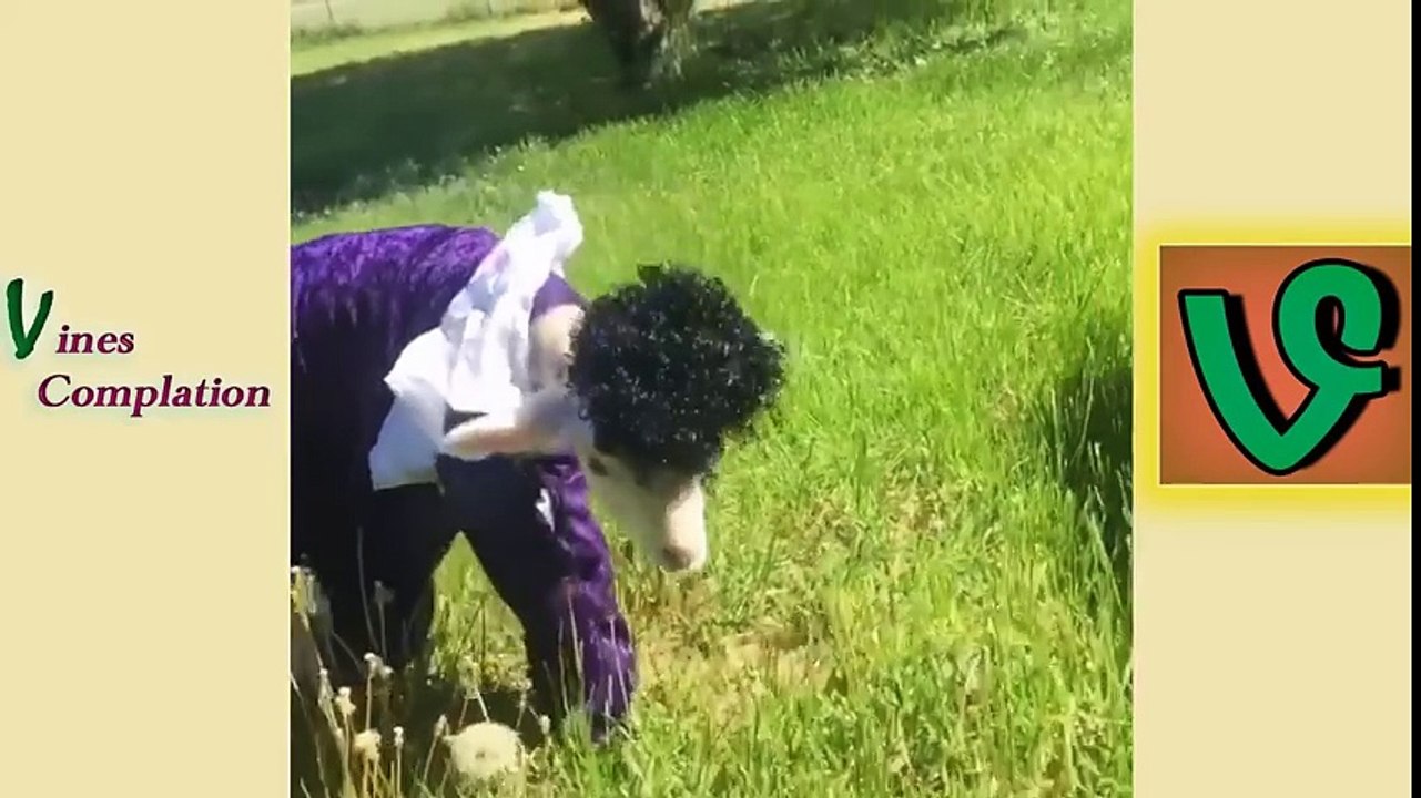 Best Vines Of June 2016 - Try Not To Laugh Challenge Vine Edition - Funny Vine Of June 2016