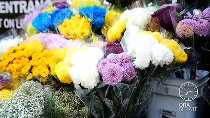 Ora 7 - Rrugëtimi i vëllezërve Kolaj drejt zinxhirit të picerive " Famiglia" - Klan Kosova