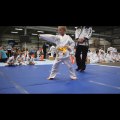 American Kyuki-Do Federation Youth Forms Competition