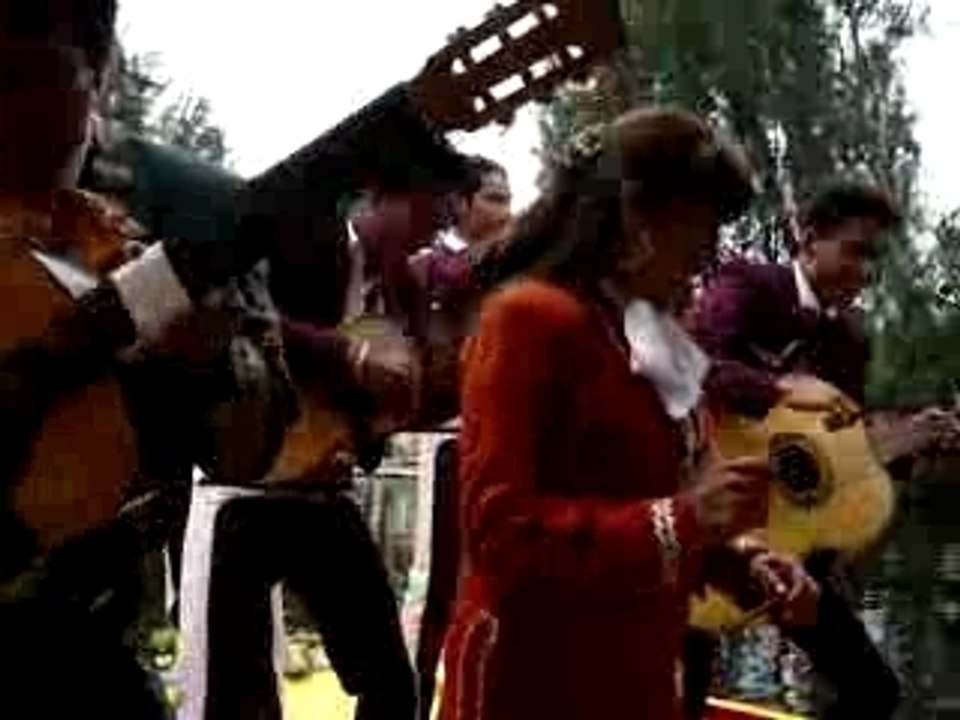 Vieja musica sympatica