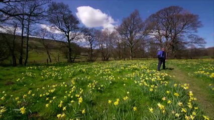 6 best U.S. destinations to visit during the springtime