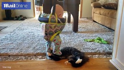 Baby turned into human plaything as he’s batted by cat _ Daily Mail Online