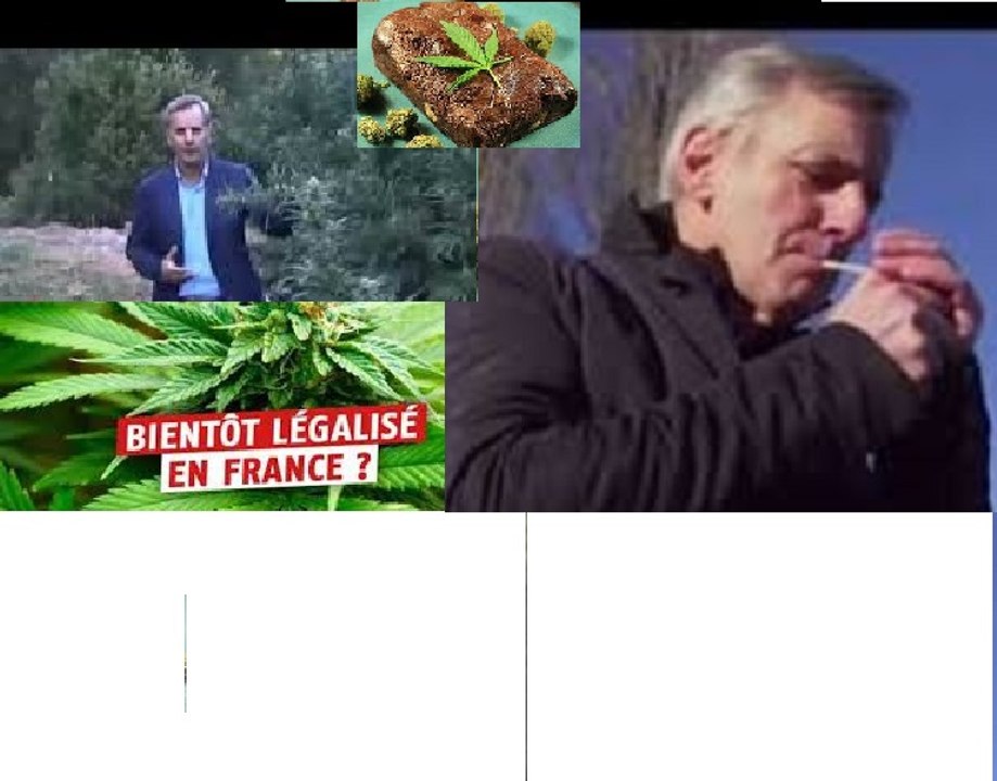 bernard de la villardière et le cannabis zap tv parodie 2017