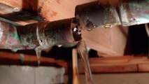 Springfield Area Water Damage Restoration Experts 413-261-6727