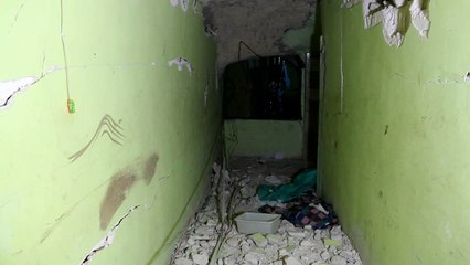 "سايف ذي تشيلدرن": الهجوم في سوريا "كيميائي على الأرجح"