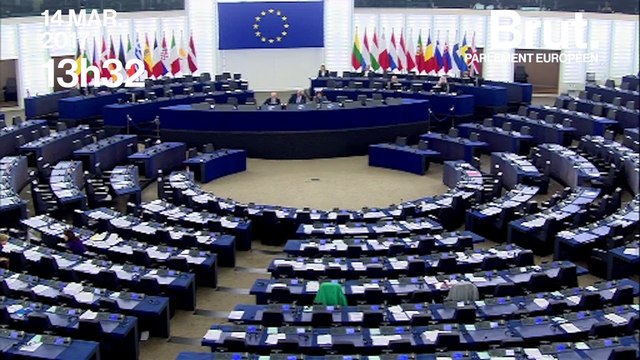 Korwin-Mikke donne encore son avis sur les armes à feu