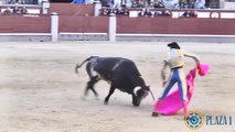 Un taureau encorne le visage d’un torero pendant une corrida à Madrid.