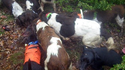 Prise Calmels mars 2017