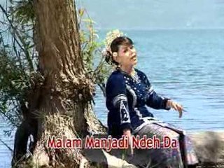 Elvia - Tasayangi Urang Nan Punyo [Official Music Video]