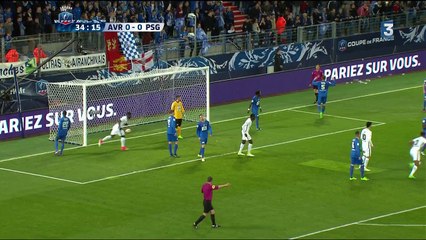 Coupe de France : Ben Arfa ouvre le score à Avranches