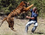 corbett national park || wildlife videos || tiger videos || animal videos || uttrakhand wildlife || wild animals
