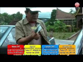 Ally Noor & Mastura - Copek Copek [Official Music Video]