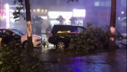 Heavy hailstorm wreaks havoc in southwestern China