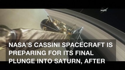 NASA's Cassini prepares for death plunge into Saturn