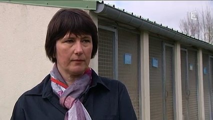 Chien poignardé à la SPA de Basse-Normandie - une plainte contre X déposée[via torchbrowser.com]