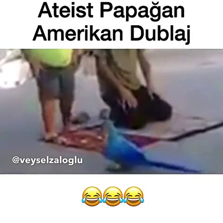 Veysel Zaloglu  Ateist Papağan - Amerikan Dublaj