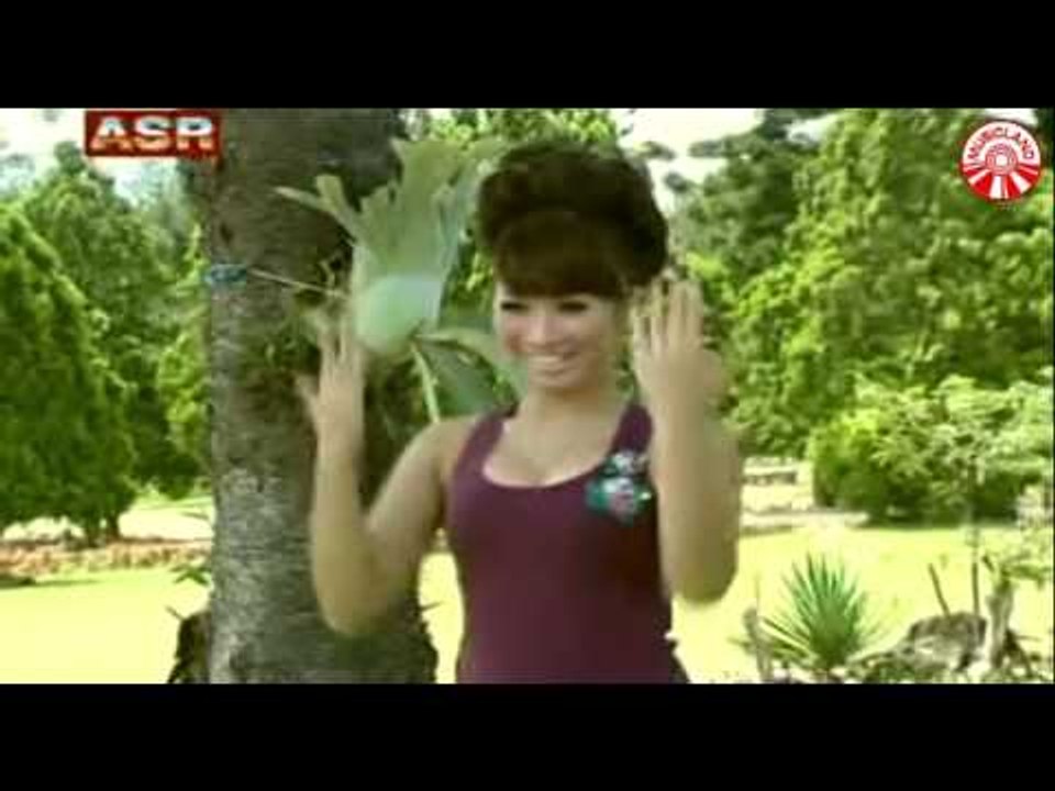 Mansyur S - Pagar Makan Tanaman [Official Music Video] - Video Dailymotion