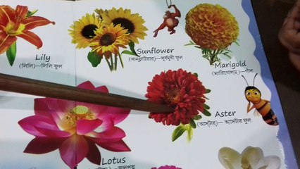 Flowers Name || Learn Online Flowers Name With Picture For Children || Learn Flowers Name In English For  Kids ||