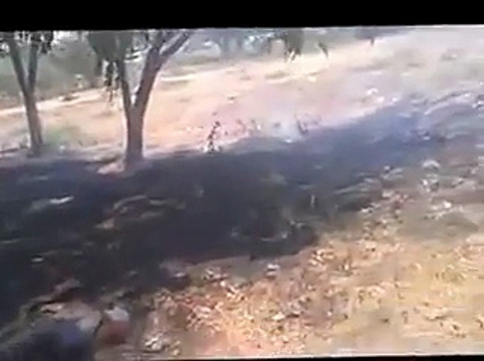 Muslim Children
