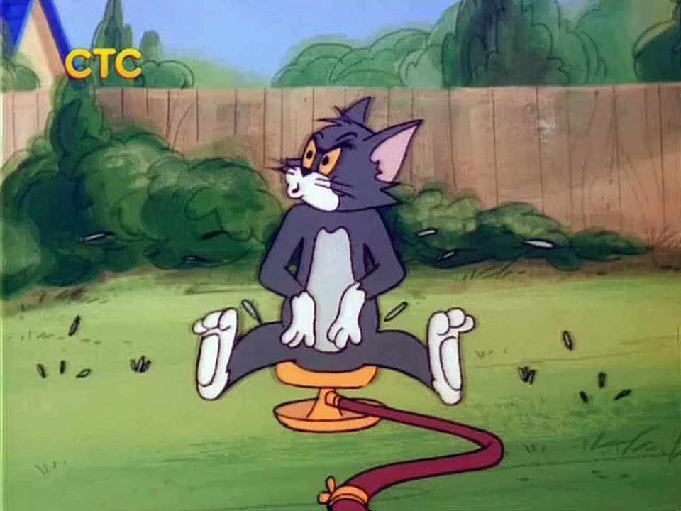 The Puppy Sitter Tom and Jerry