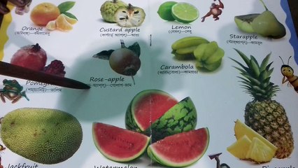 Fruits || Fruits Name With Picture For Children In English || Pre-School Fruits Book For Kids ||