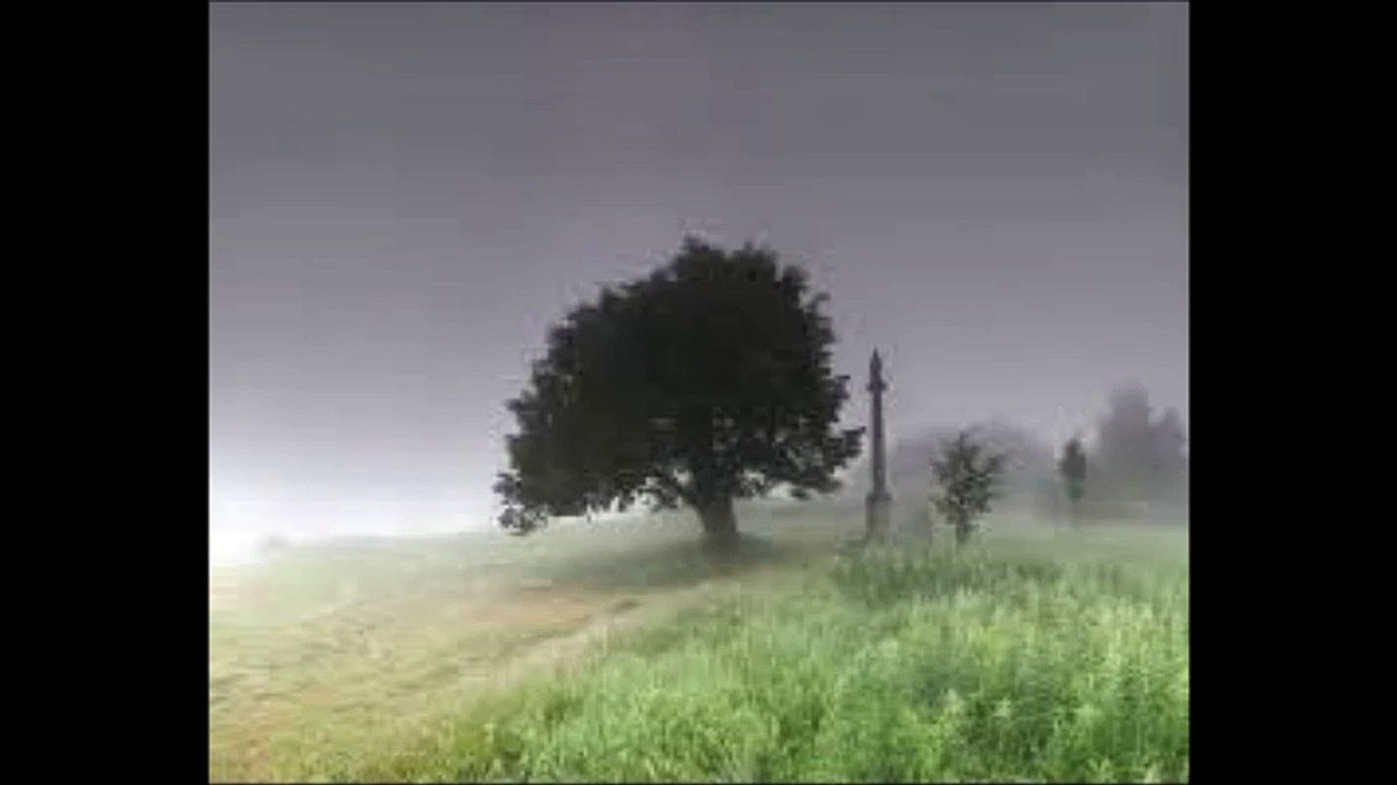 NT - The Nature as Beauty