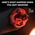 Here's what happens when you quit smoking  [Mic Archives]