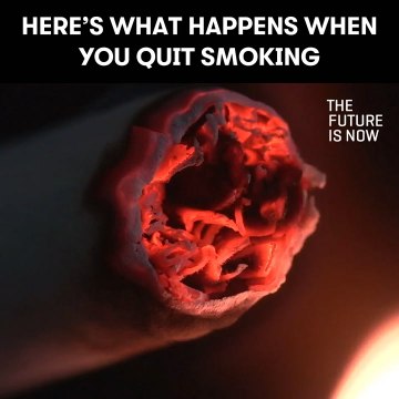 Here's what happens when you quit smoking [Mic Archives]