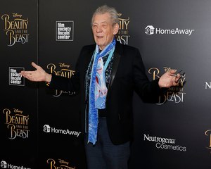 Ian McKellen had a really good reason for not wanting to play Dumbledore
