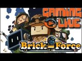 GAMING LIVE Web - Brick-Force - FPS en kit - Jeuxvideo.com