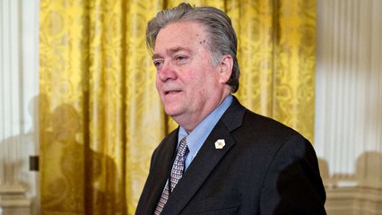 Donald Trump removes Steve Bannon from National Security Council
