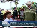 Se pone en marcha plan de siembra y cosecha Venezuela Cultiva 2017