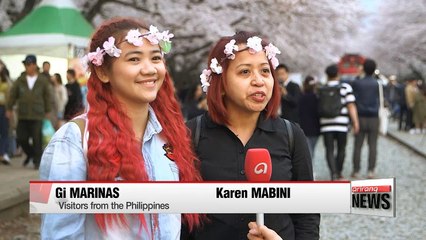 Visitors to Jinhae festival bask in cherry blossoms in bloom