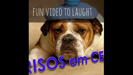 que dor de dente é essa? fun video to laugh