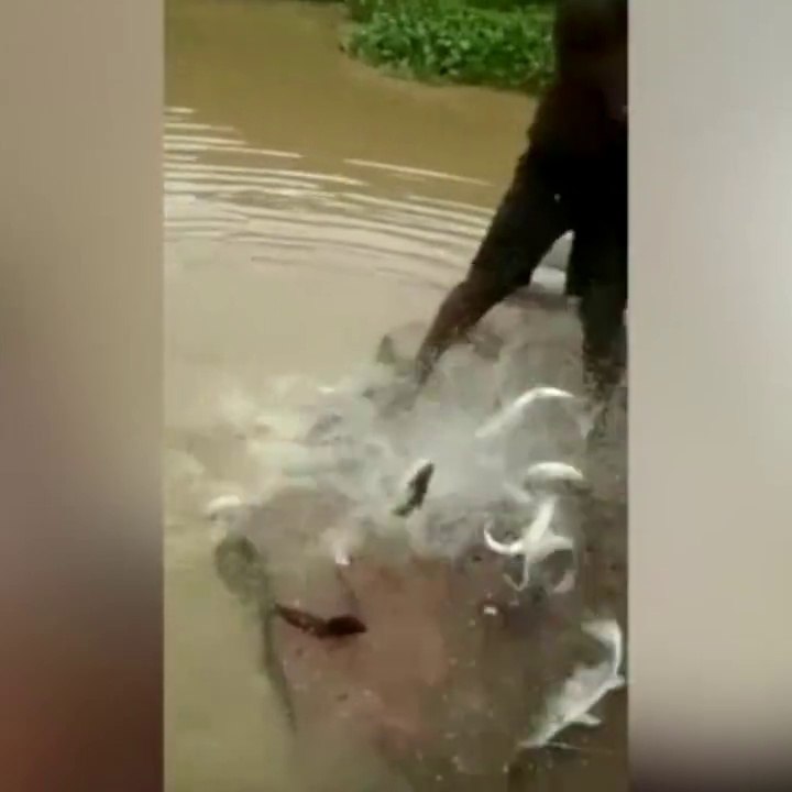 This is how you fish!