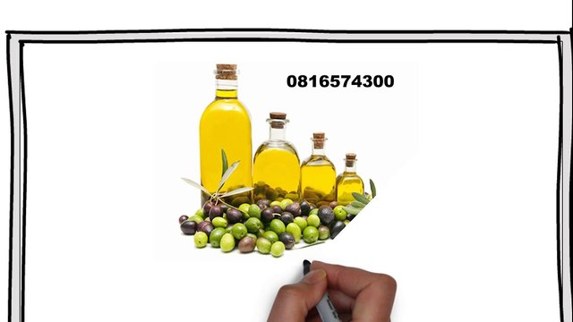 081-657-4300 (Indosat) Jual Minyak Zaitun Pandeglang