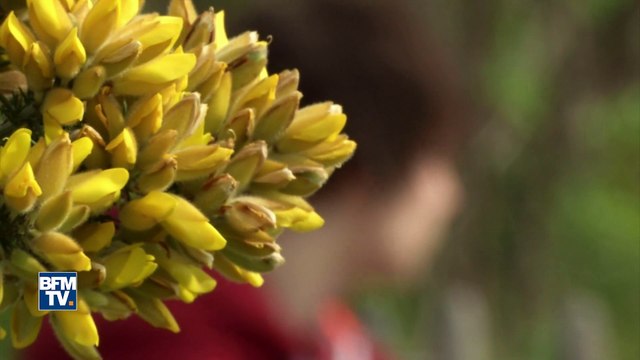 Le défi de la baleine bleue arrive en France et met les ados en danger