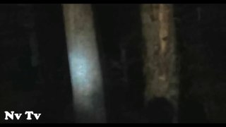 EERIE!! CAMPER FILMS A REAL MASSIVE BIGFOOT!! - Arkansas, USA (2012) - HD http://BestDramaTv.Net