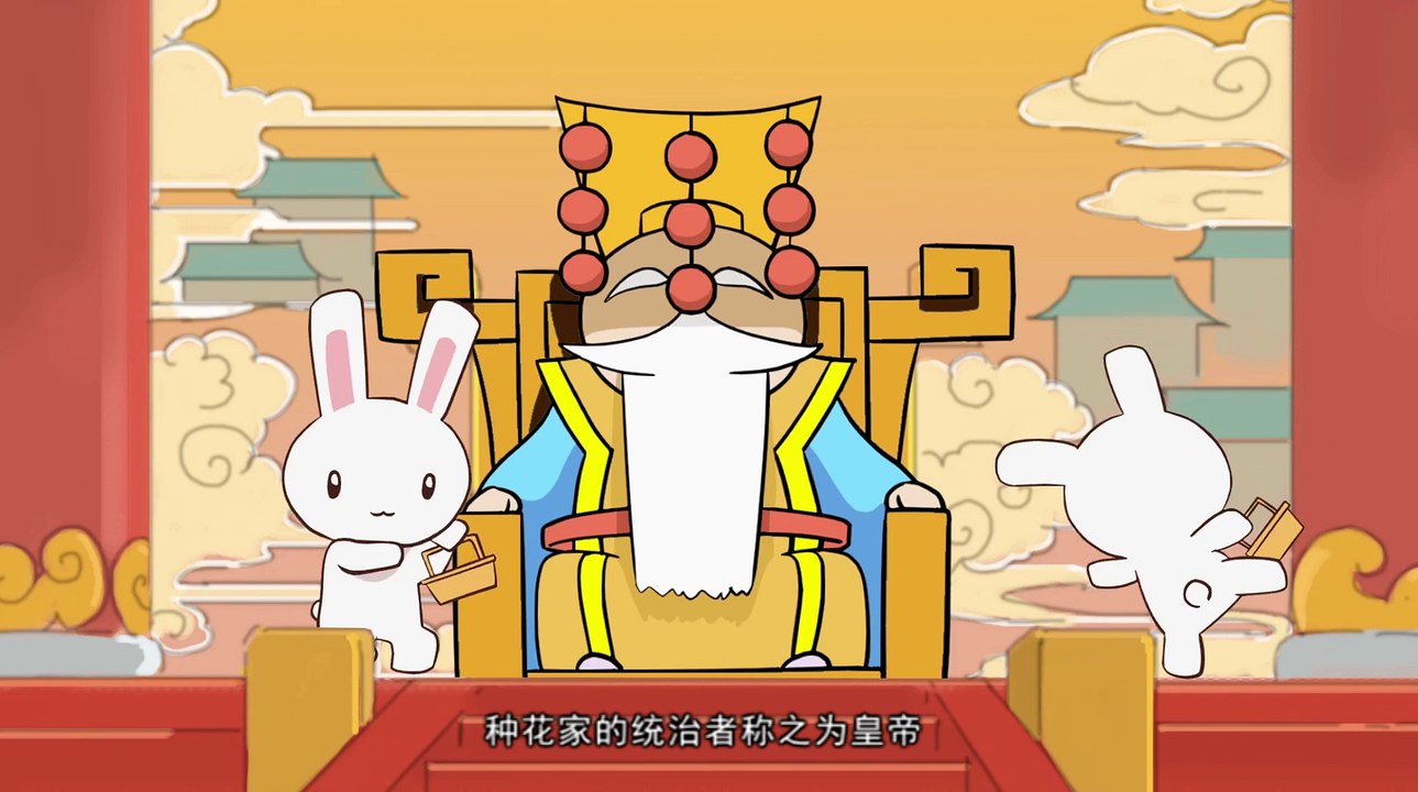 那年那兔那些事儿01