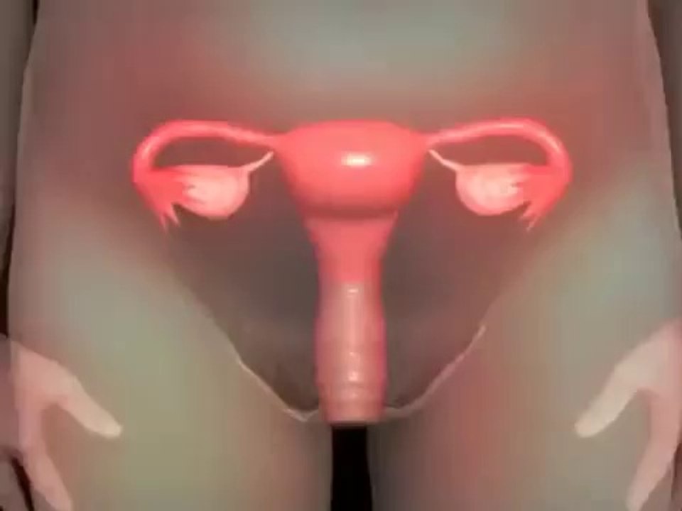 Fertilization-YBfCW