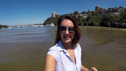 Sirius Cove Dog Beach Mosman