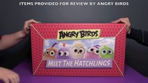 Angry Birds Meet The Hatchlings HUGE Surprise Toys Unboxing! _ Bin's Toy Bin-4dgS