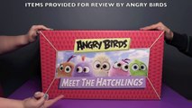 Angry Birds Meet The Hatchlings HUGE Surprise Toys Unboxing! _ Bin's Toy Bin-4dgSIpg