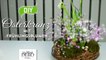 DIY - hübscher Osterkranz mit Frühlingspflanzen [How to] Deko Kitchen-6s