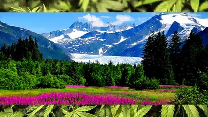 10 Facts About Marijuana