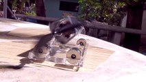 NEJE DIY Solar Magnetic Levitation Motor