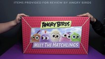 Angry Birds Meet The Hatchlings HUGE Surprise Toys Unboxing! _ Bin's Toy Bin-4dgSI