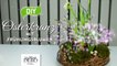 DIY - hübscher Osterkranz mit Frühlingspflanzen [How to] Deko Kitchen-6sLy