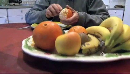 Comment démarrer son compost ?